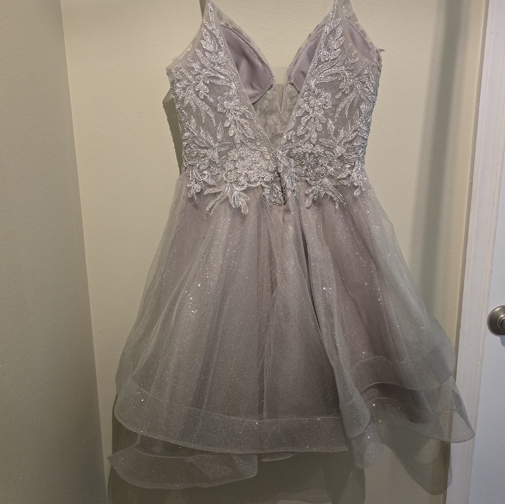 Elegant Silver Lace Tulle Dress - Picture 3 of 4